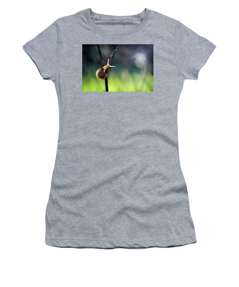 Garden Women's T-Shirt featuring the photograph Cutie Pie by Michelle Wermuth