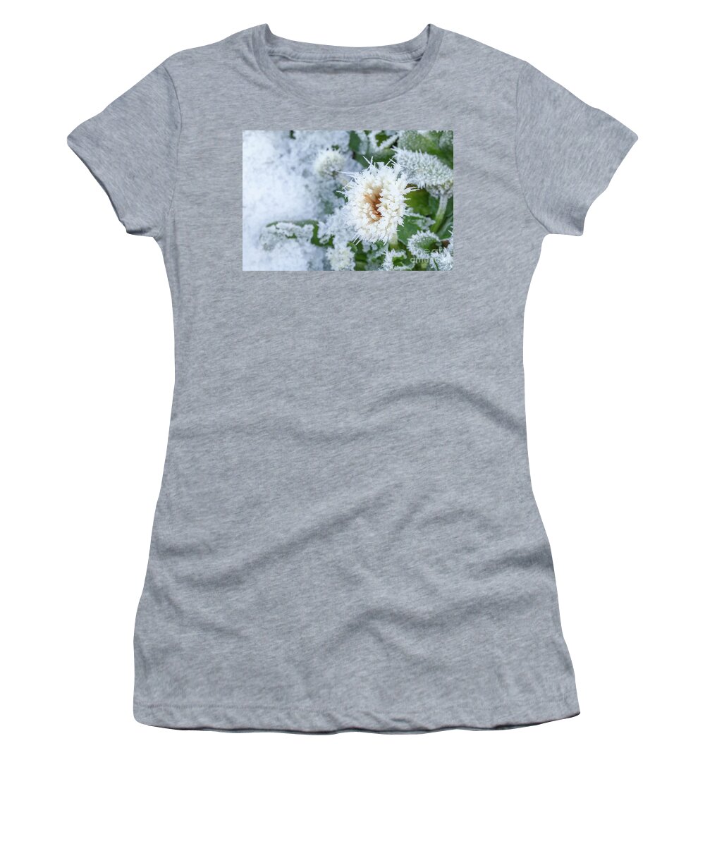 Flower Women's T-Shirt featuring the photograph Daisy flower covered in winter ice by Simon Bratt