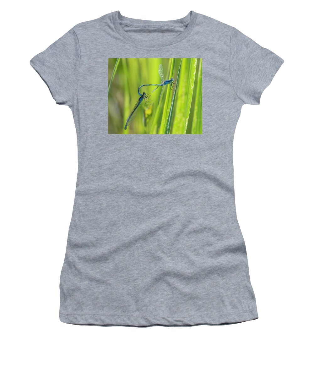Mating Wheel Women's T-Shirt featuring the photograph Dameselfly Mating Wheel by Rick Mosher