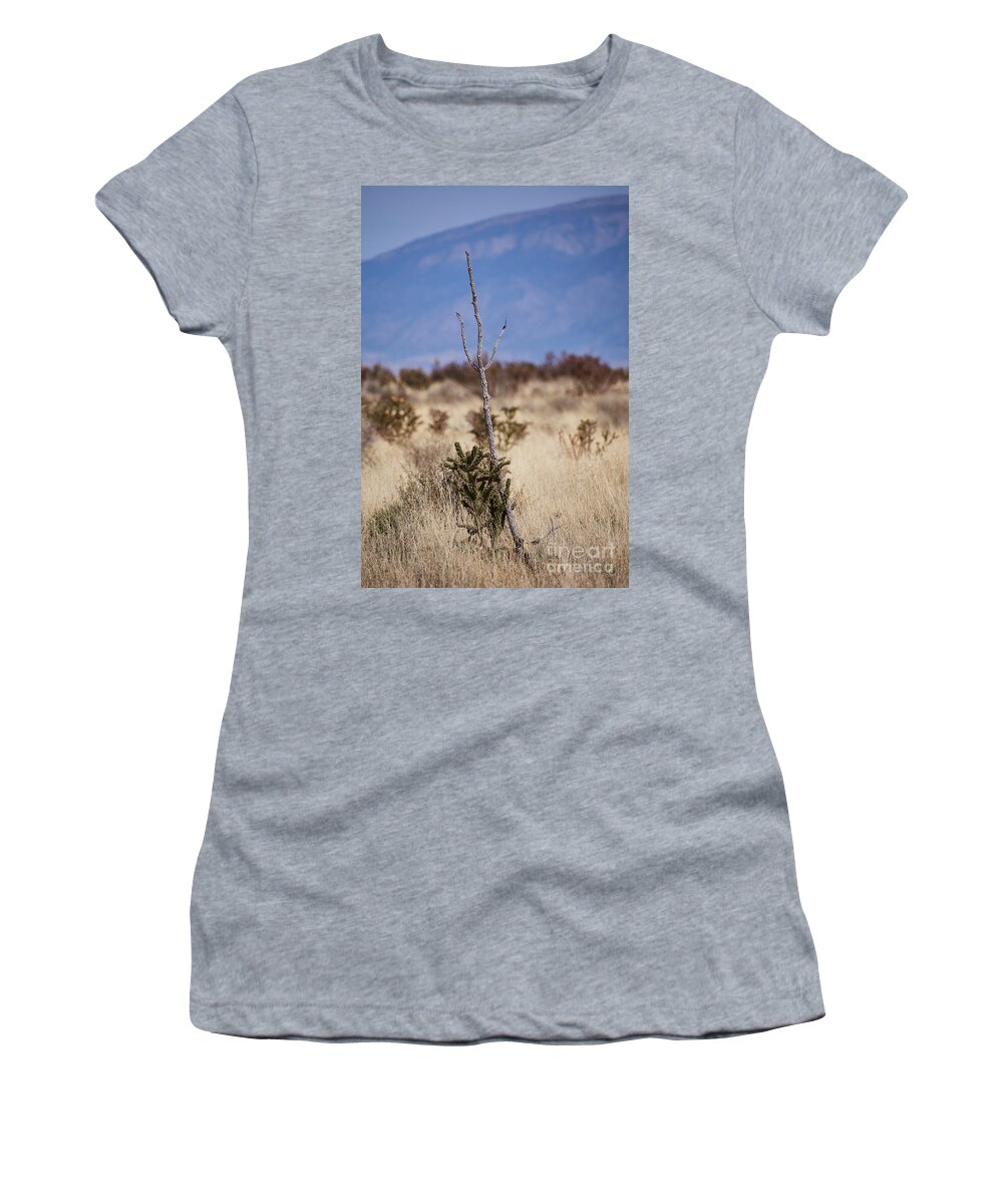 New Mexico Desert Women's T-Shirt featuring the photograph Desert Trident by Robert WK Clark