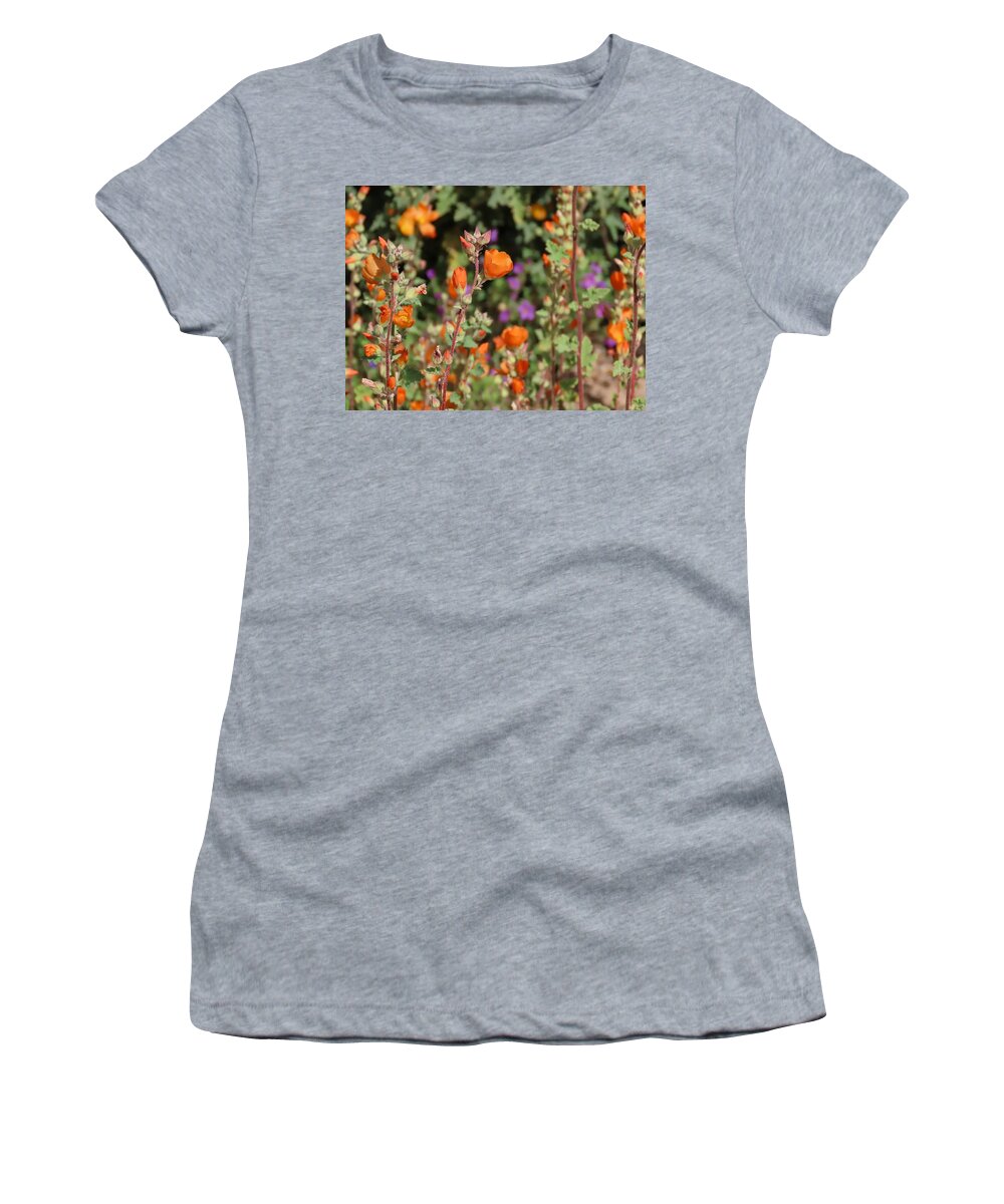Arizona Women's T-Shirt featuring the photograph Desert Wildflowers by Judy Kennedy