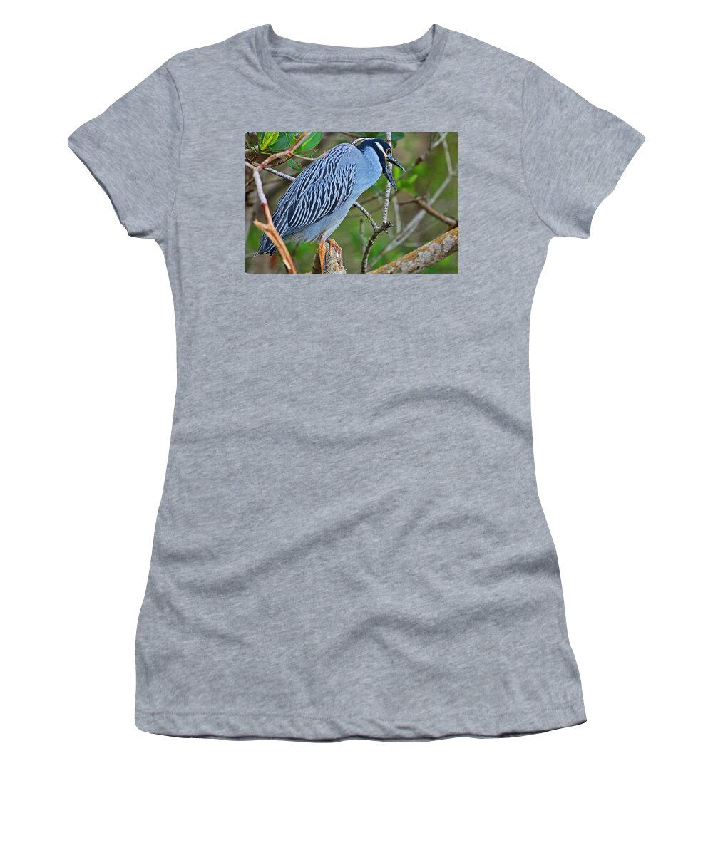 Yellow-crowned Night Heron Women's T-Shirt featuring the photograph Despite the Look on My Face, You're Still Talking by Michiale Schneider