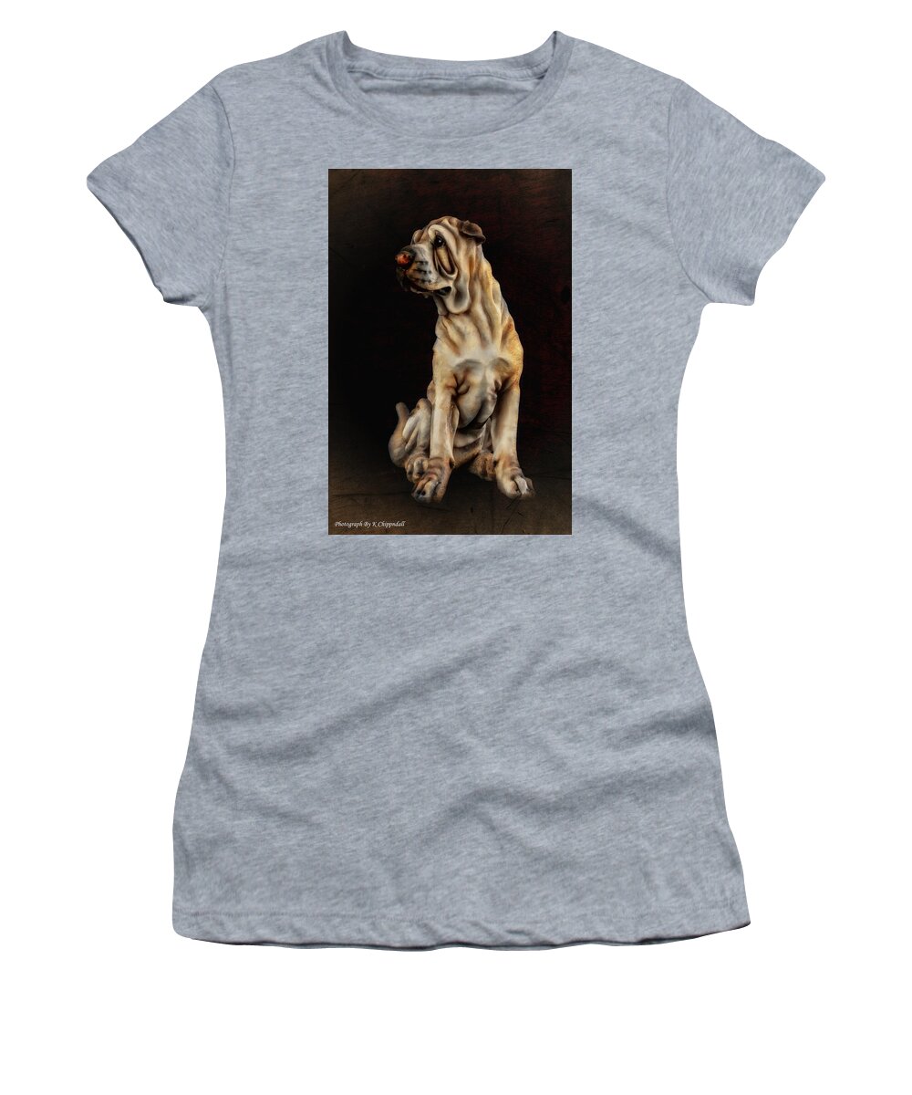 Dog Portrait Women's T-Shirt featuring the digital art Dog portrait 63 by Kevin Chippindall