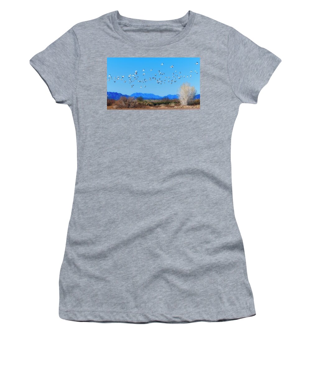 Landscape Women's T-Shirt featuring the photograph Dream Geese by Allan Van Gasbeck
