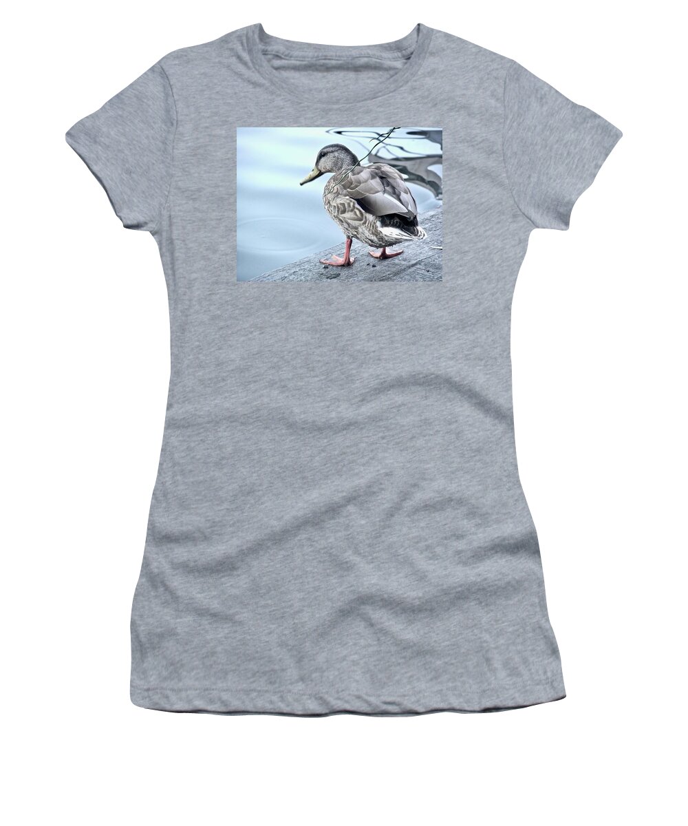Duck Women's T-Shirt featuring the photograph Duck Decisions by Kathy Ozzard Chism