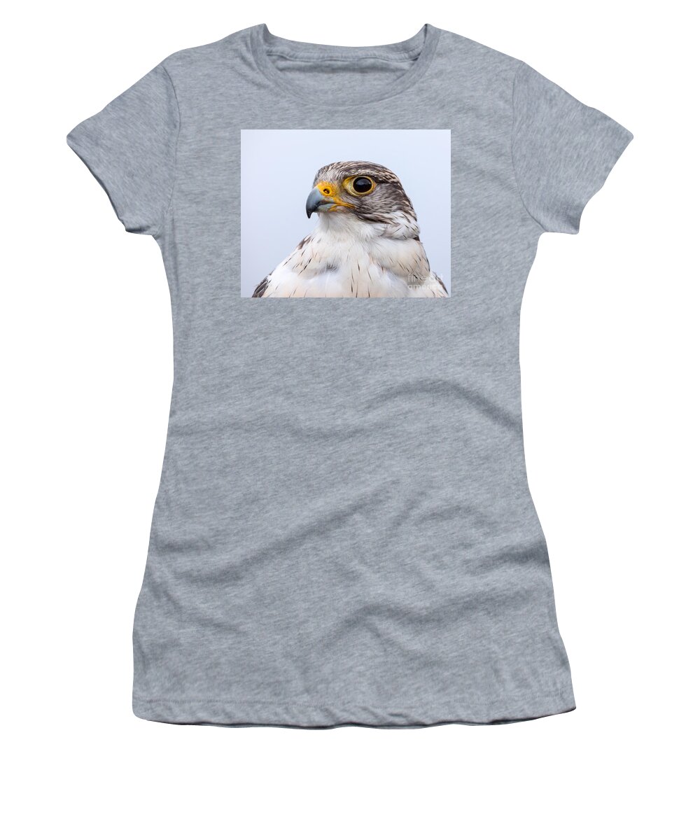 Photography Women's T-Shirt featuring the photograph Falcon Portrait by Alma Danison