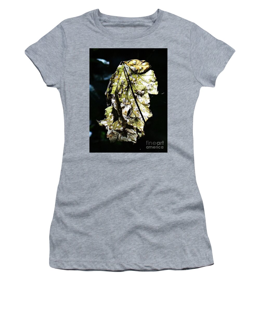 Fall Women's T-Shirt featuring the photograph Fall leaf catching the light by Karin Ravasio