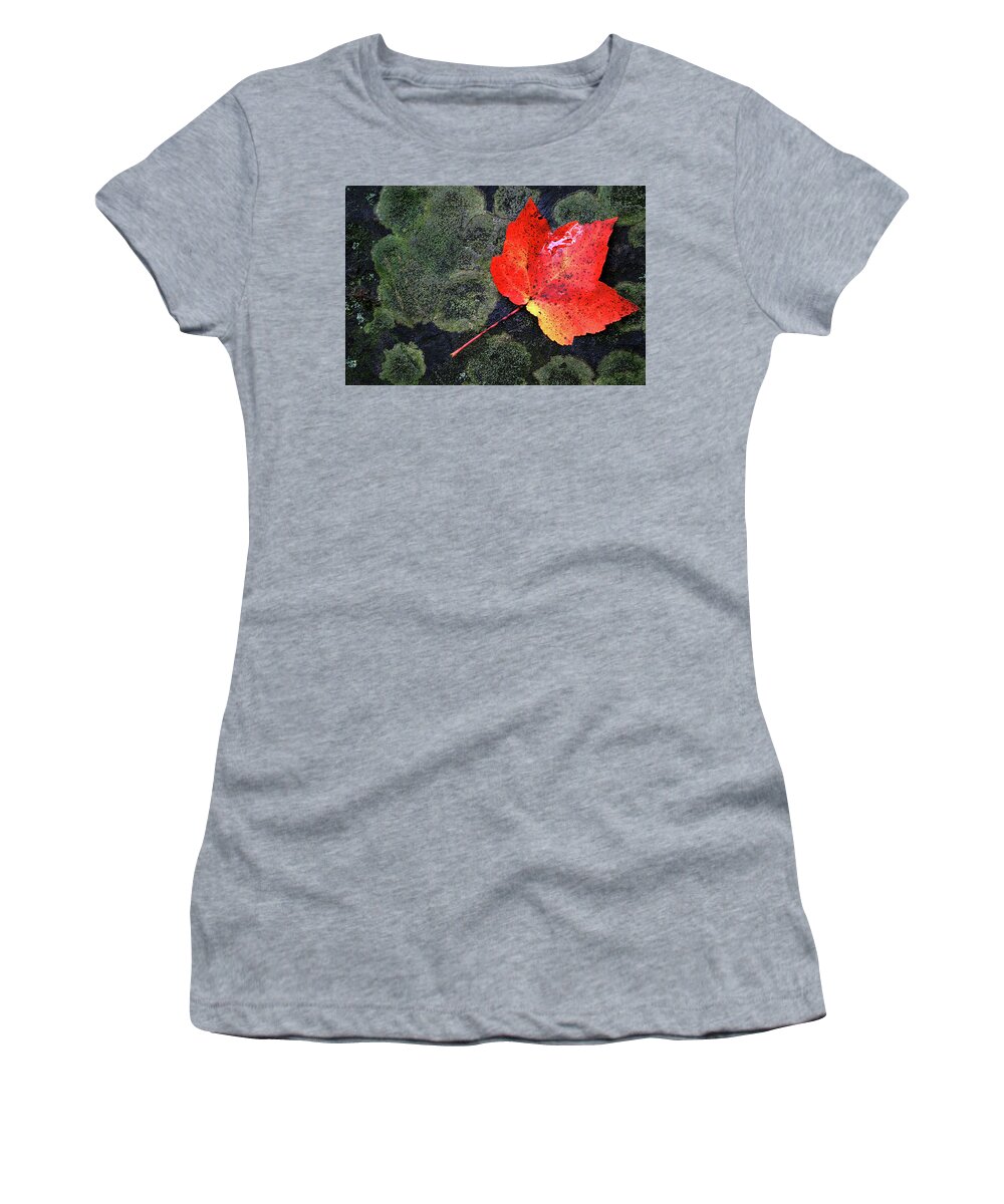 Maple Leaf Women's T-Shirt featuring the photograph Fall Leaf by David Pratt