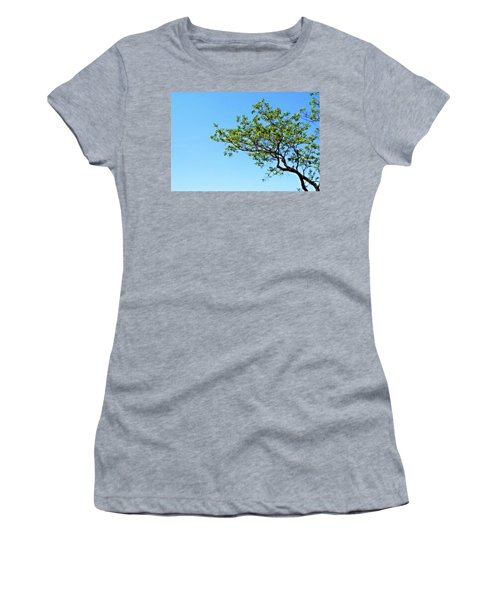 Tree Women's T-Shirt featuring the photograph Far Reaching by Michelle Wermuth