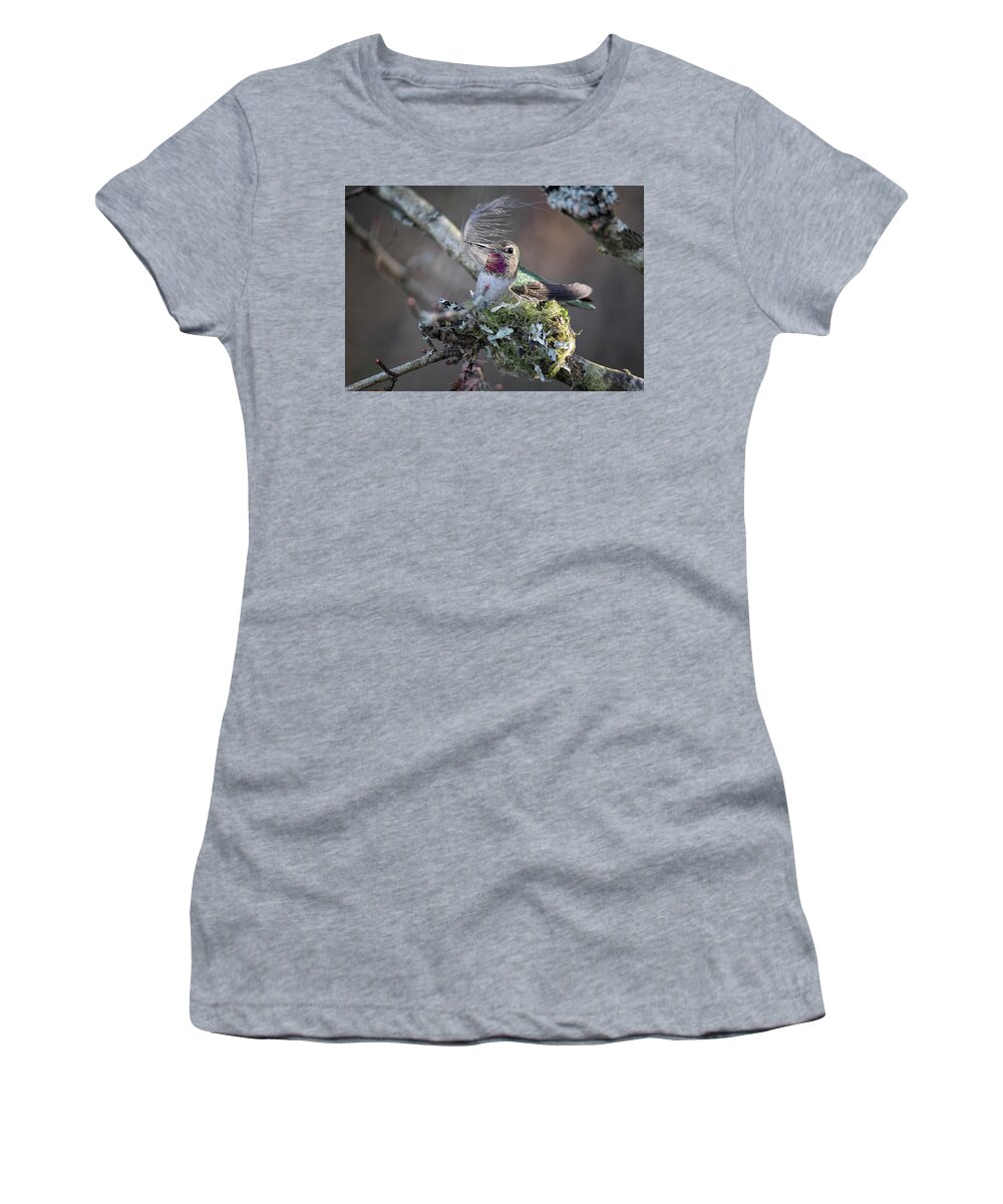 Anna's Hummingbird Women's T-Shirt featuring the photograph Feather Bed by Randy Hall