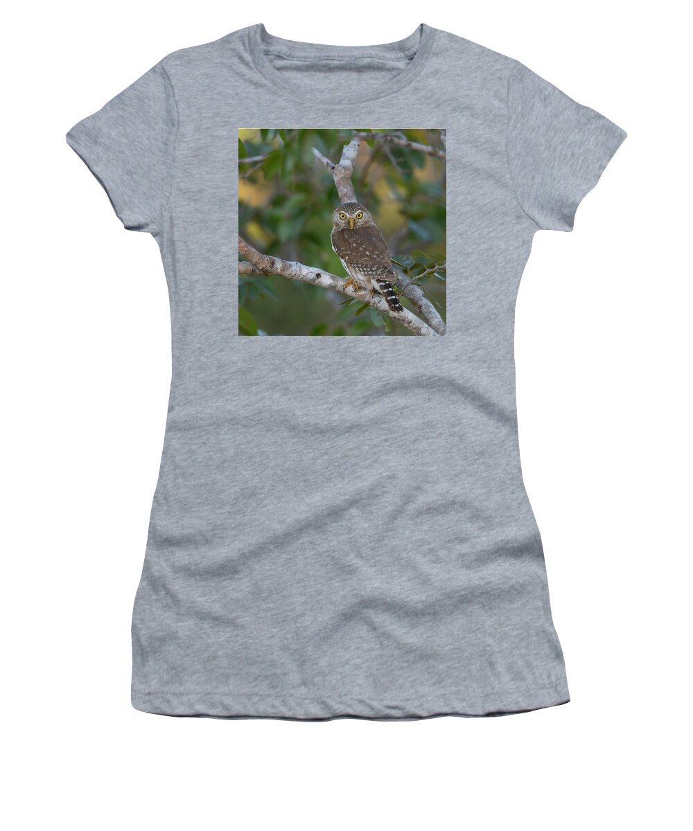 Ferruginous Women's T-Shirt featuring the photograph Ferruginous pygmy owl by Patrick Nowotny