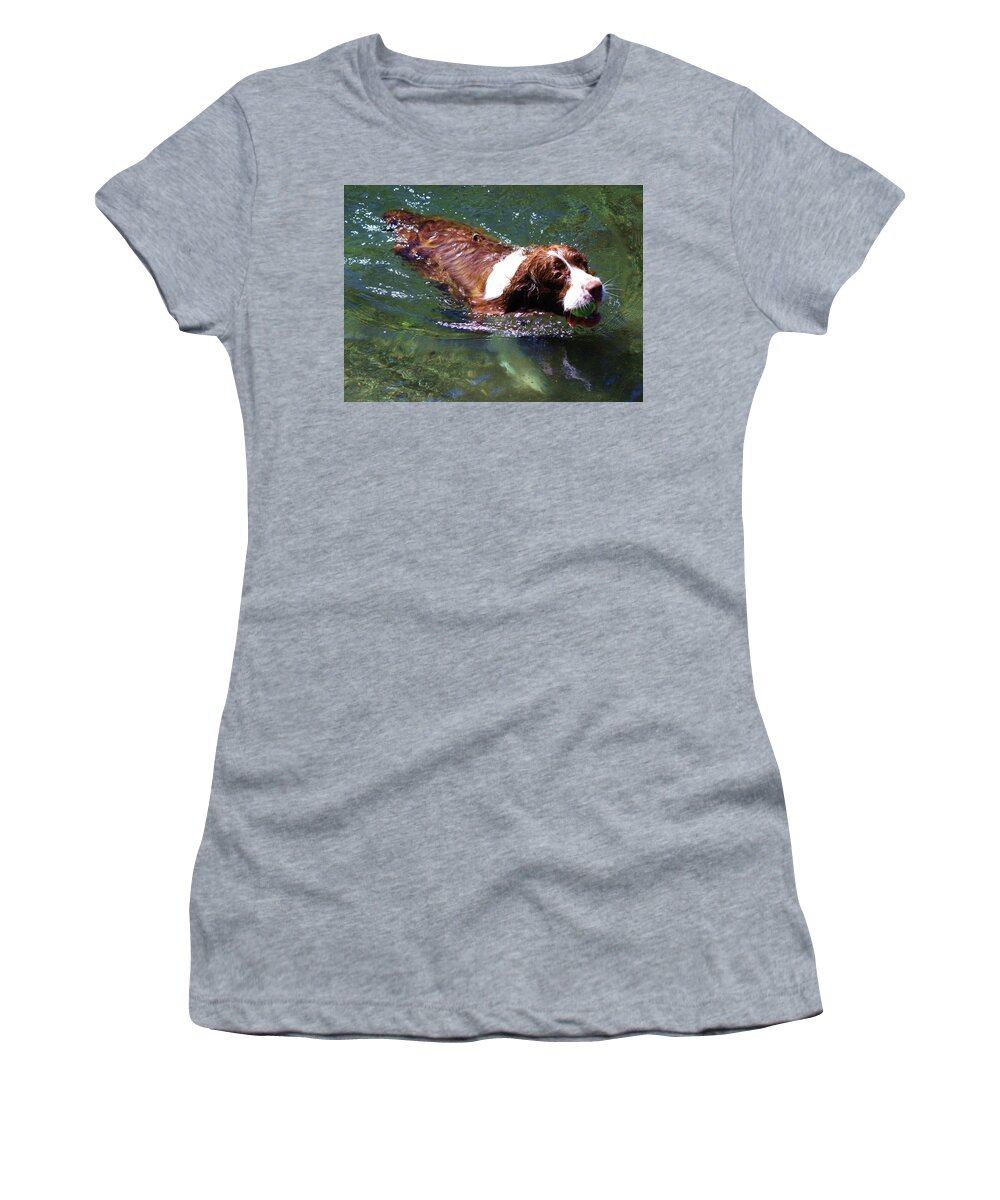 Spaniel Women's T-Shirt featuring the photograph Fetch by Fred Bailey