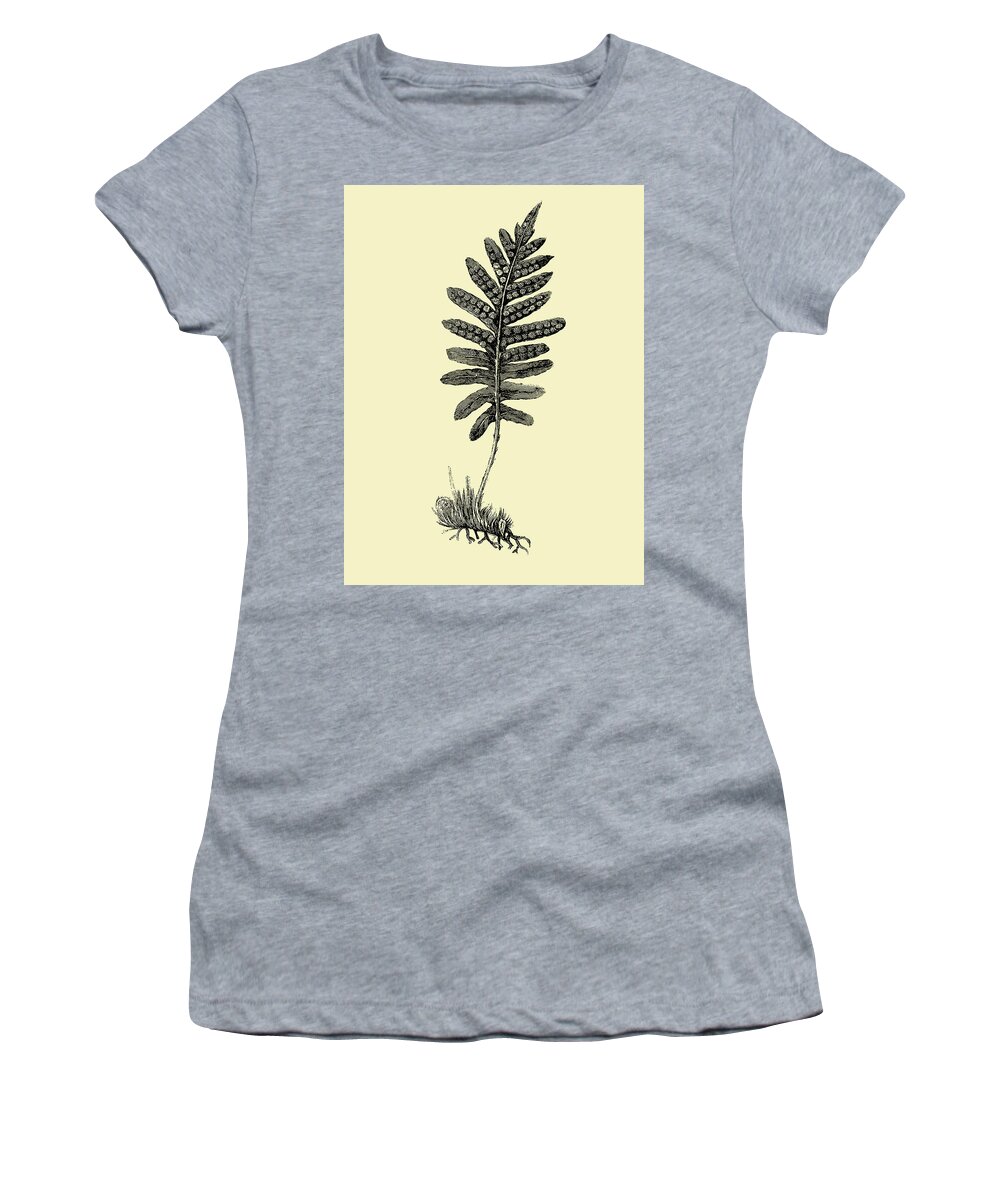 Leaf Women's T-Shirt featuring the mixed media Floating Leaf Branch by Naxart Studio