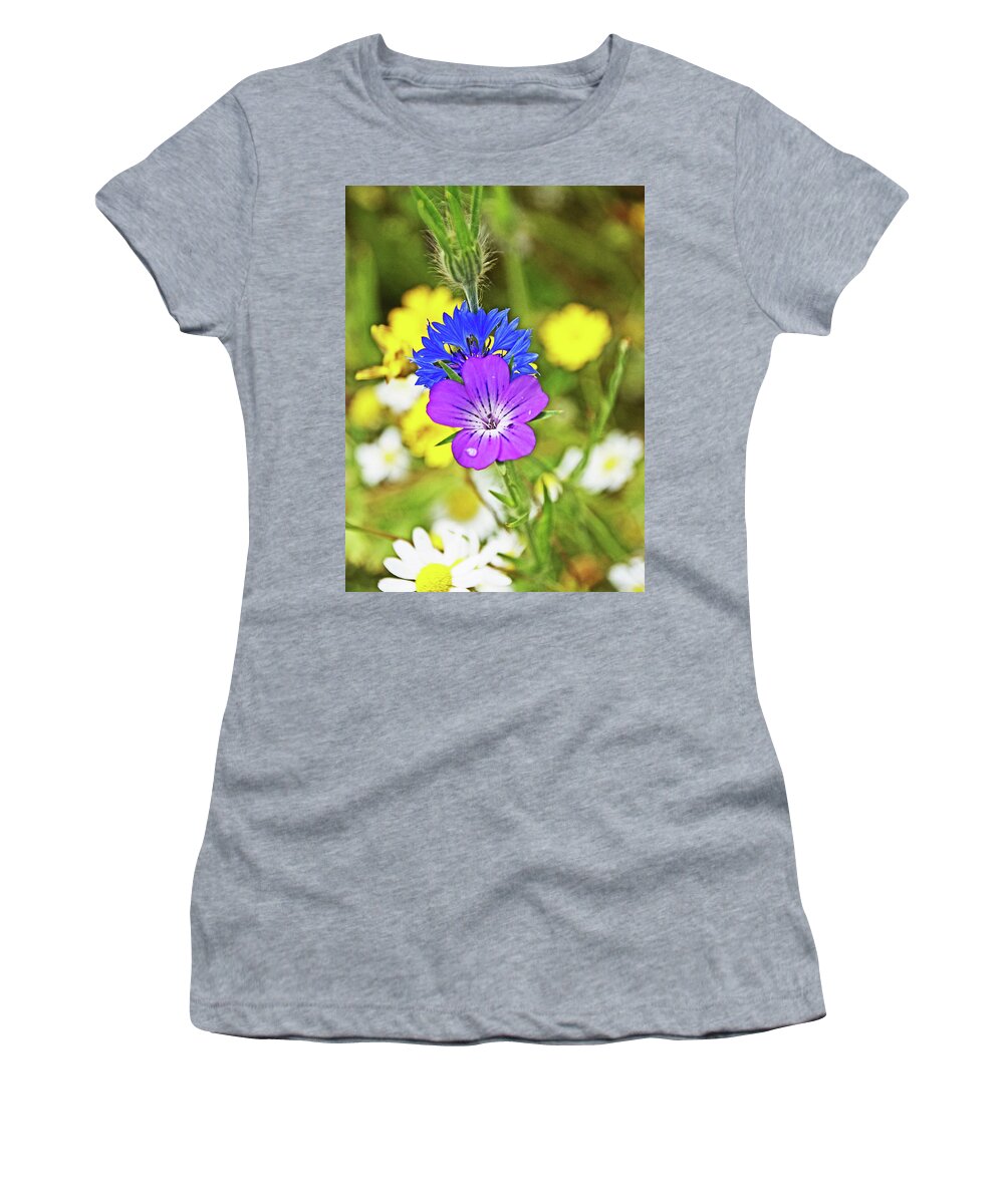 Flowers Cornflower Meadow Wildfowers Women's T-Shirt featuring the photograph Flowers In The Meadow. by Lachlan Main