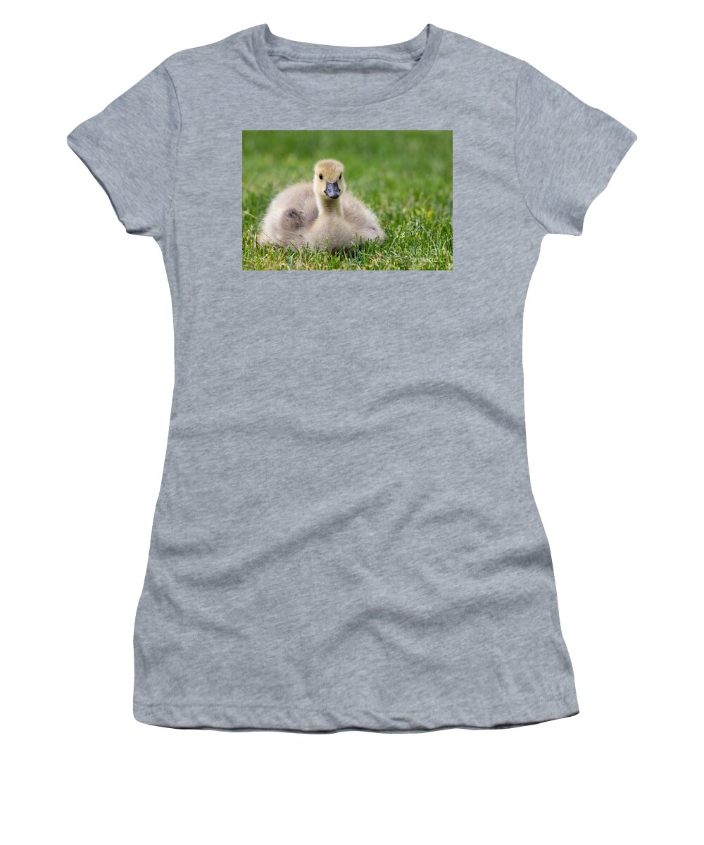 Photography Women's T-Shirt featuring the photograph Fluffy Gosling by Alma Danison