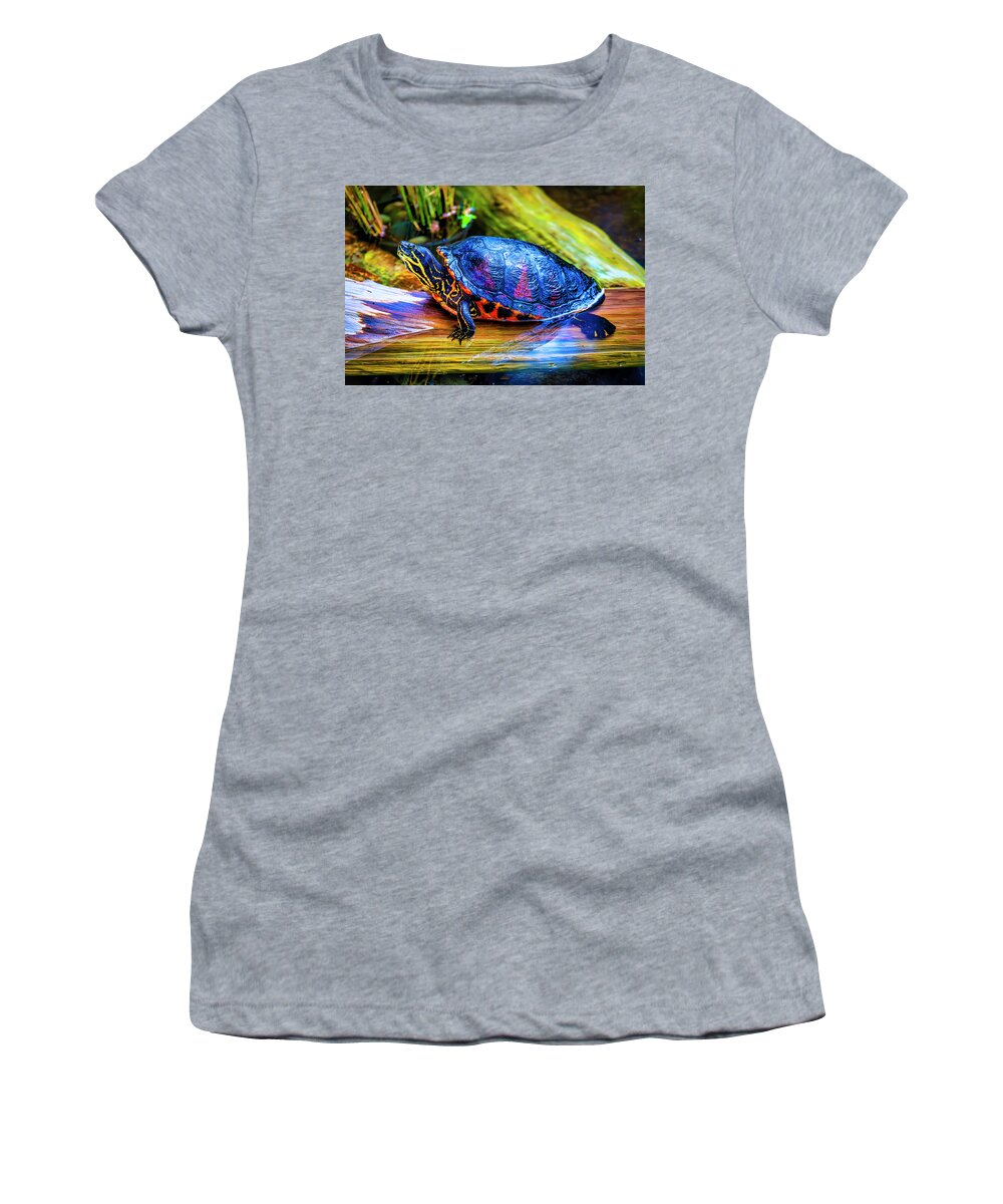 Freshwater Women's T-Shirt featuring the photograph Freshwater Aquatic Turtle by Garry Gay