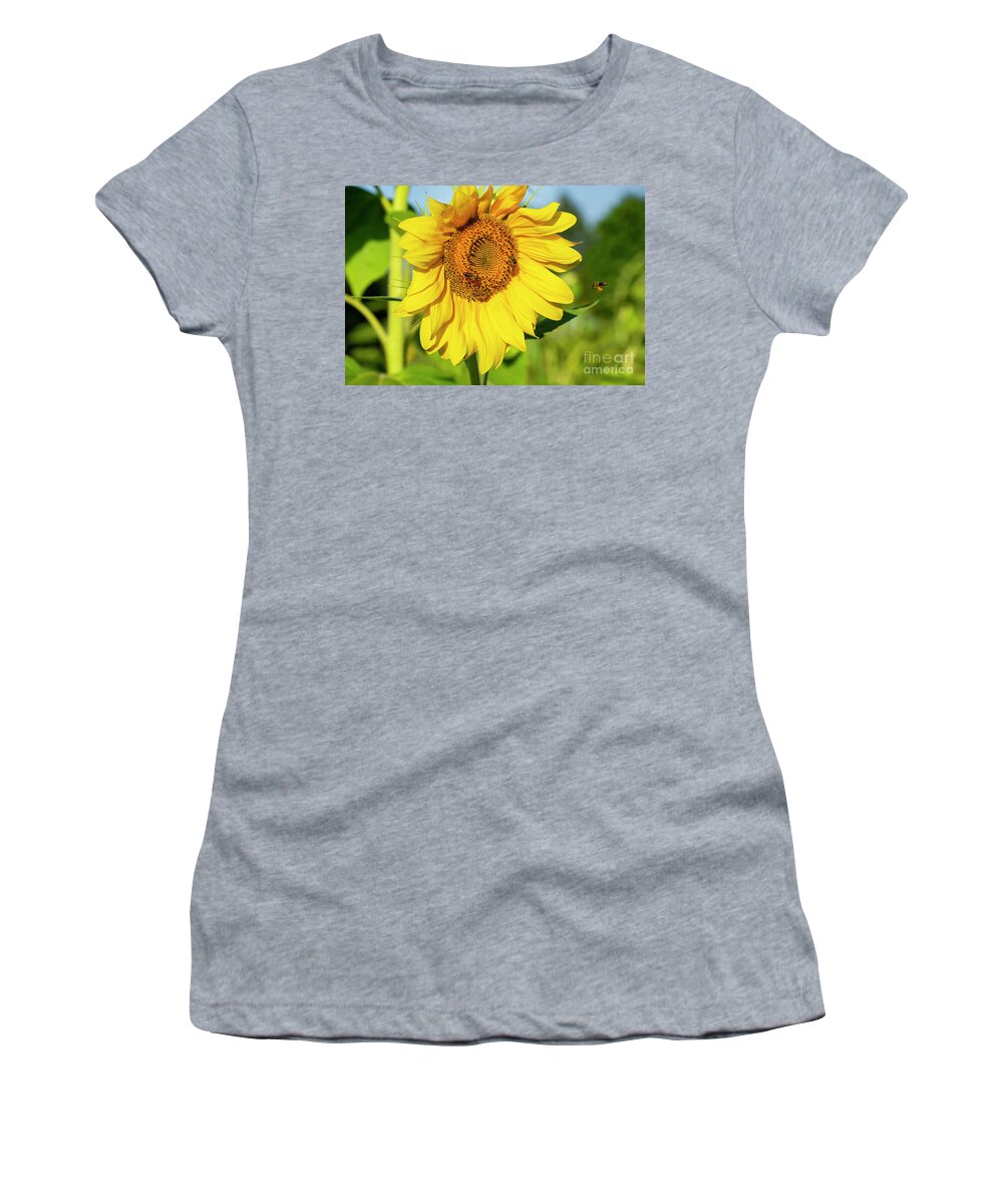 Plants Women's T-Shirt featuring the photograph friends of the Bees by Morris Keyonzo
