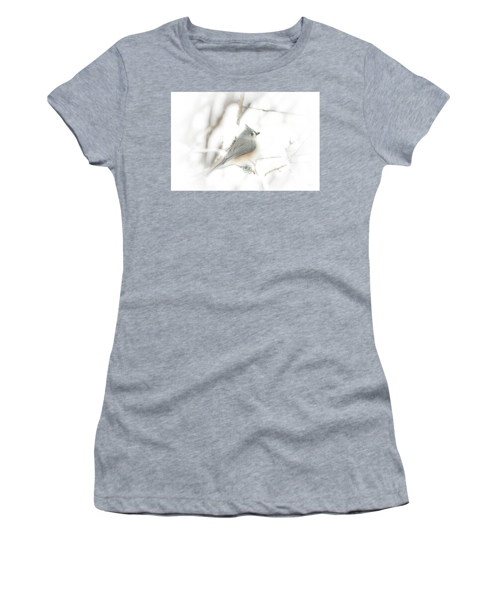 Titmouse Women's T-Shirt featuring the photograph Frosty the Titmouse by Diane Lindon Coy