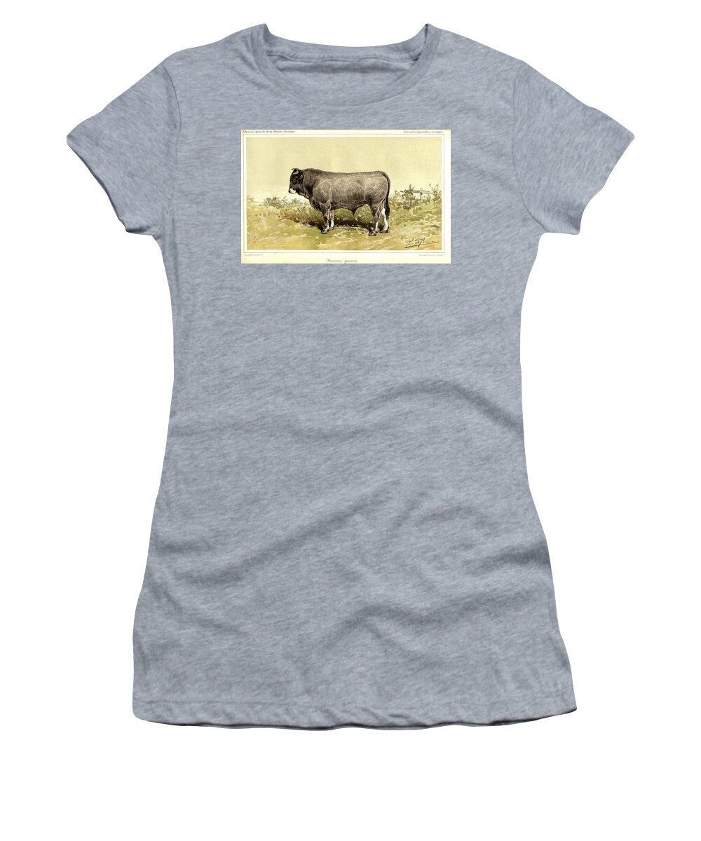 Bull Women's T-Shirt featuring the painting Gascon bull 1895 by Celestial Images