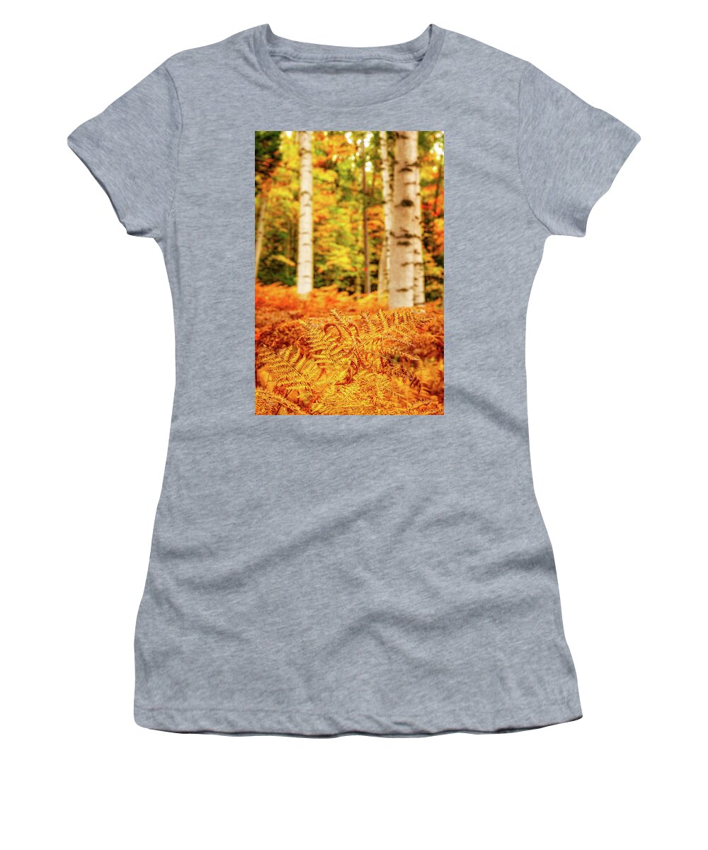 Autumn Women's T-Shirt featuring the photograph Golden Ferns In The Birch Glade by Jeff Sinon