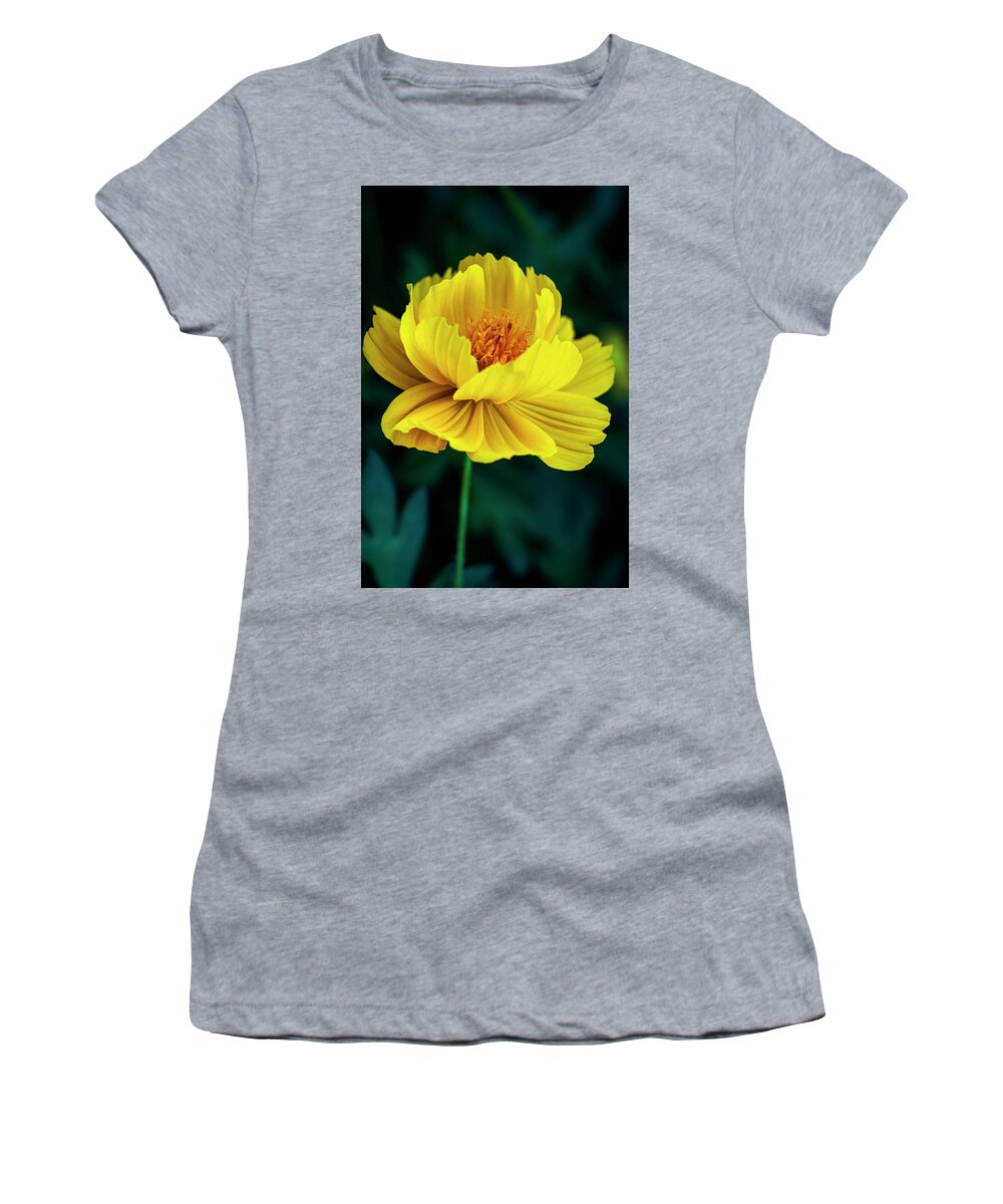 Bloom Women's T-Shirt featuring the photograph Golden Poppy by Robert FERD Frank
