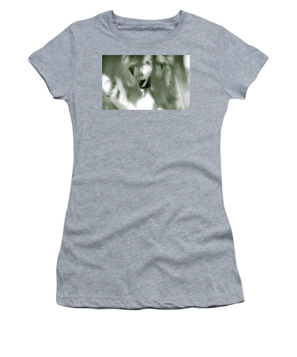 Gossamer Veil Women's T-Shirt featuring the photograph Gossamer Veil by Julie Weber