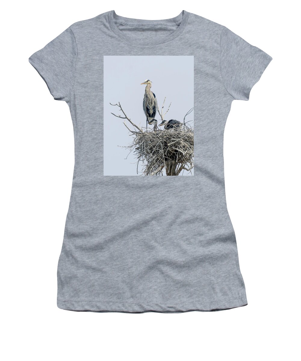 Stillwater Wildlife Refuge Women's T-Shirt featuring the photograph Great Blue Heron Rookery 3 by Rick Mosher