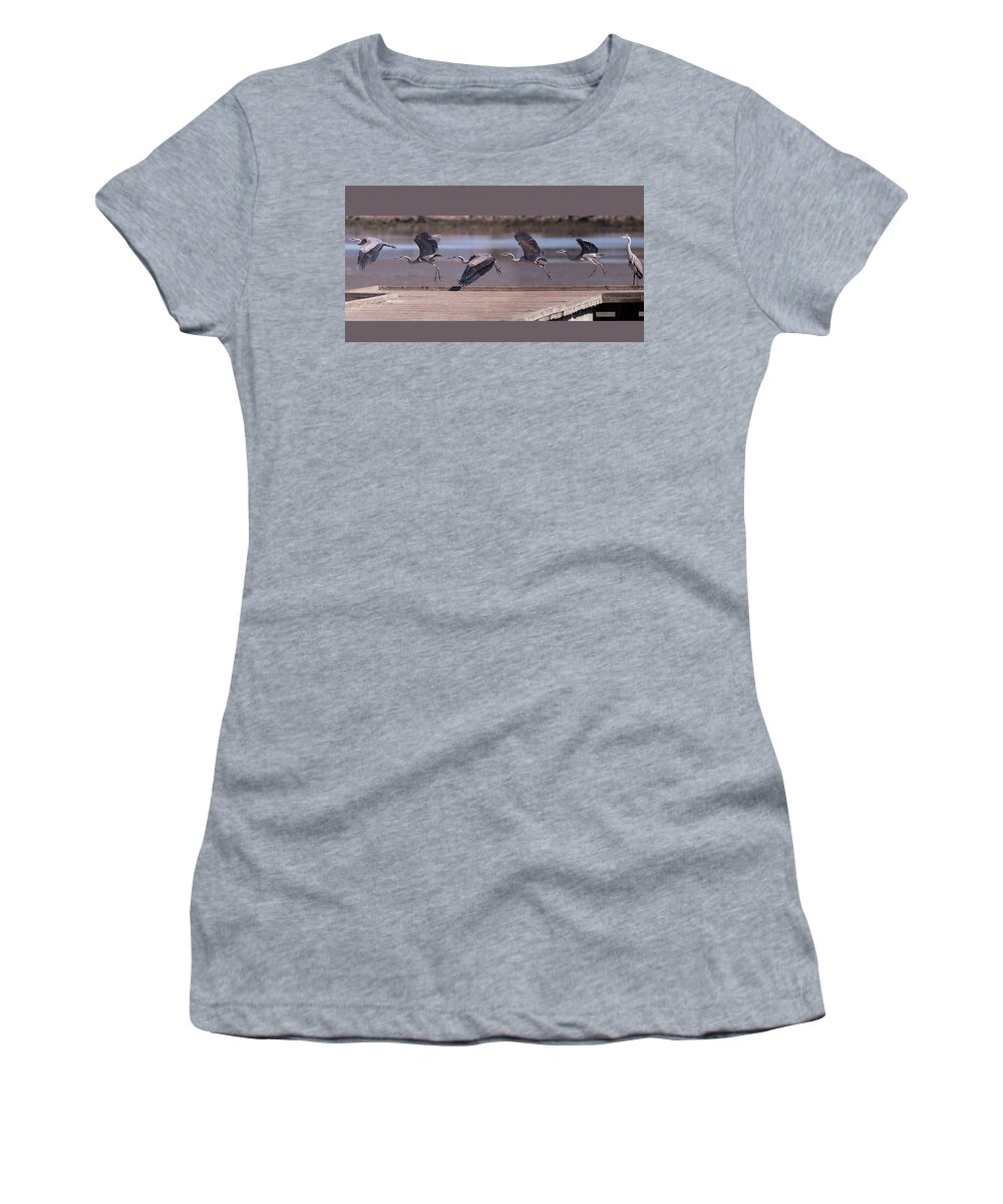 Alameda Women's T-Shirt featuring the photograph Great Blue Heron Take Off by Mike Gifford