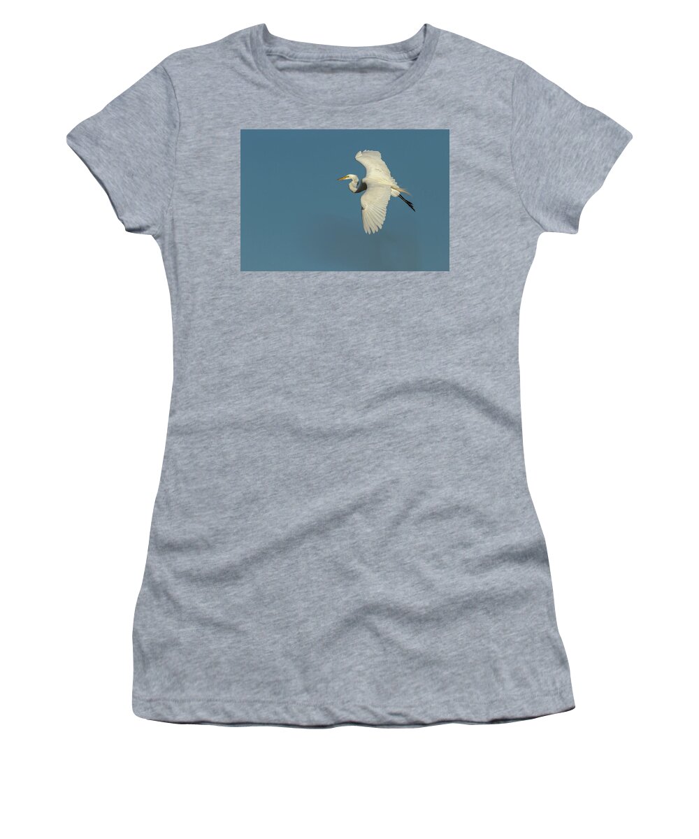 Great Egret Women's T-Shirt featuring the photograph Great Egret 2014-9 by Thomas Young