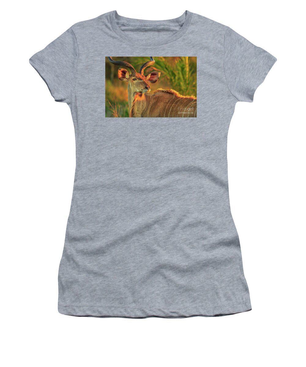 Kudu Women's T-Shirt featuring the photograph Greater kudu portrait by Benny Marty