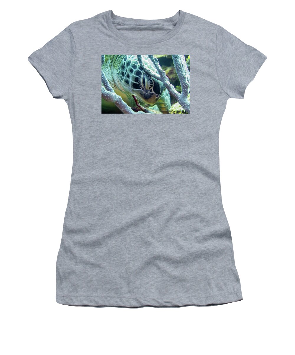 Underwater Women's T-Shirt featuring the photograph Green Sea Turtle 29 by Daryl Duda