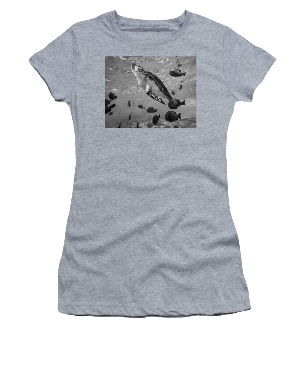 Disk1215 Women's T-Shirt featuring the photograph Green Sea Turtle Surfacing by Tim Fitzharris