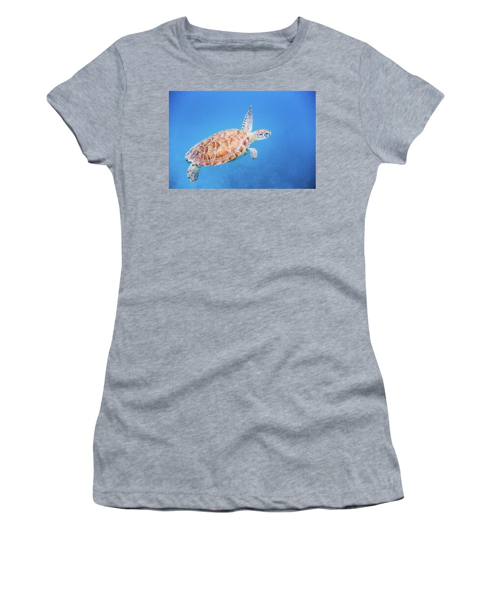Turtle Women's T-Shirt featuring the photograph Green Sea Turtle swimming by Mark Hunter