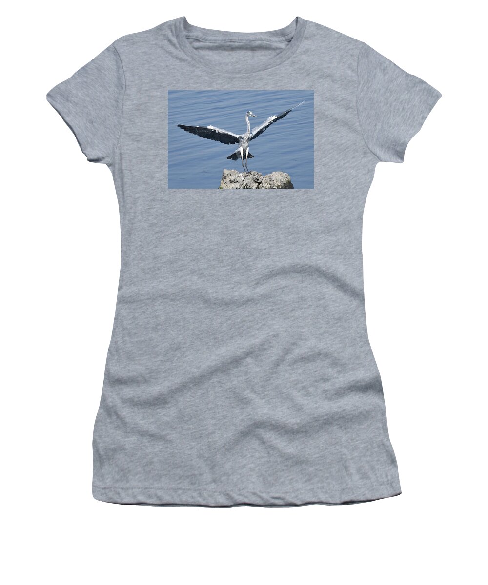 Heron Women's T-Shirt featuring the photograph Grey Heron Landing by Ben Foster