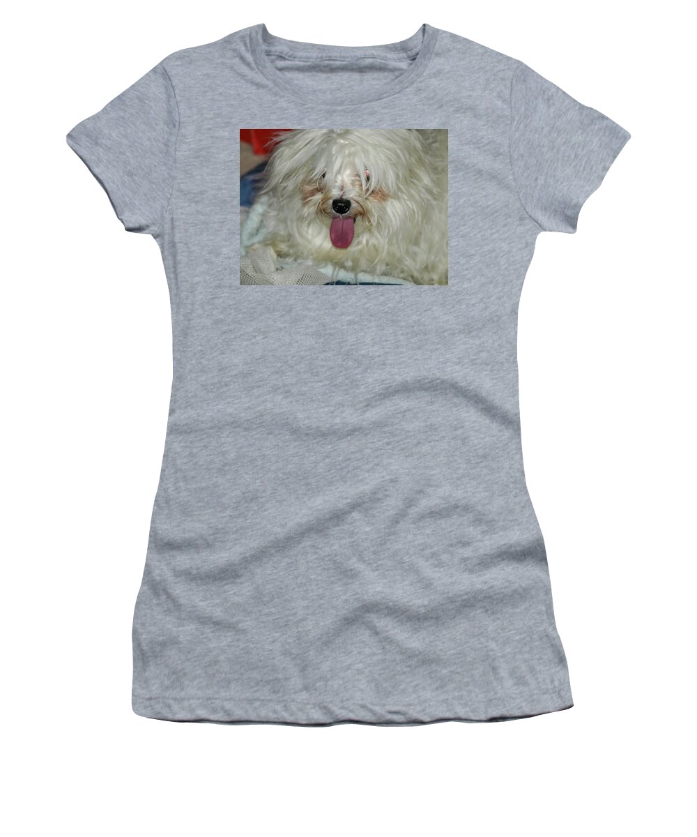 White Women's T-Shirt featuring the photograph Happy Dog by C Winslow Shafer