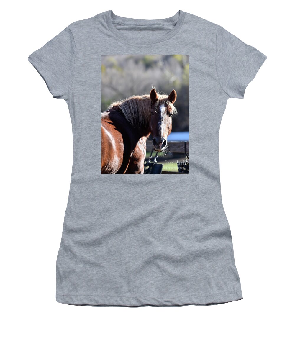 Rosemary Farm Women's T-Shirt featuring the photograph Harper by Carien Schippers