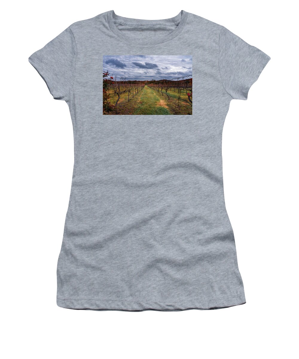 Autumn Women's T-Shirt featuring the photograph Harvested Grapevines by Robert FERD Frank