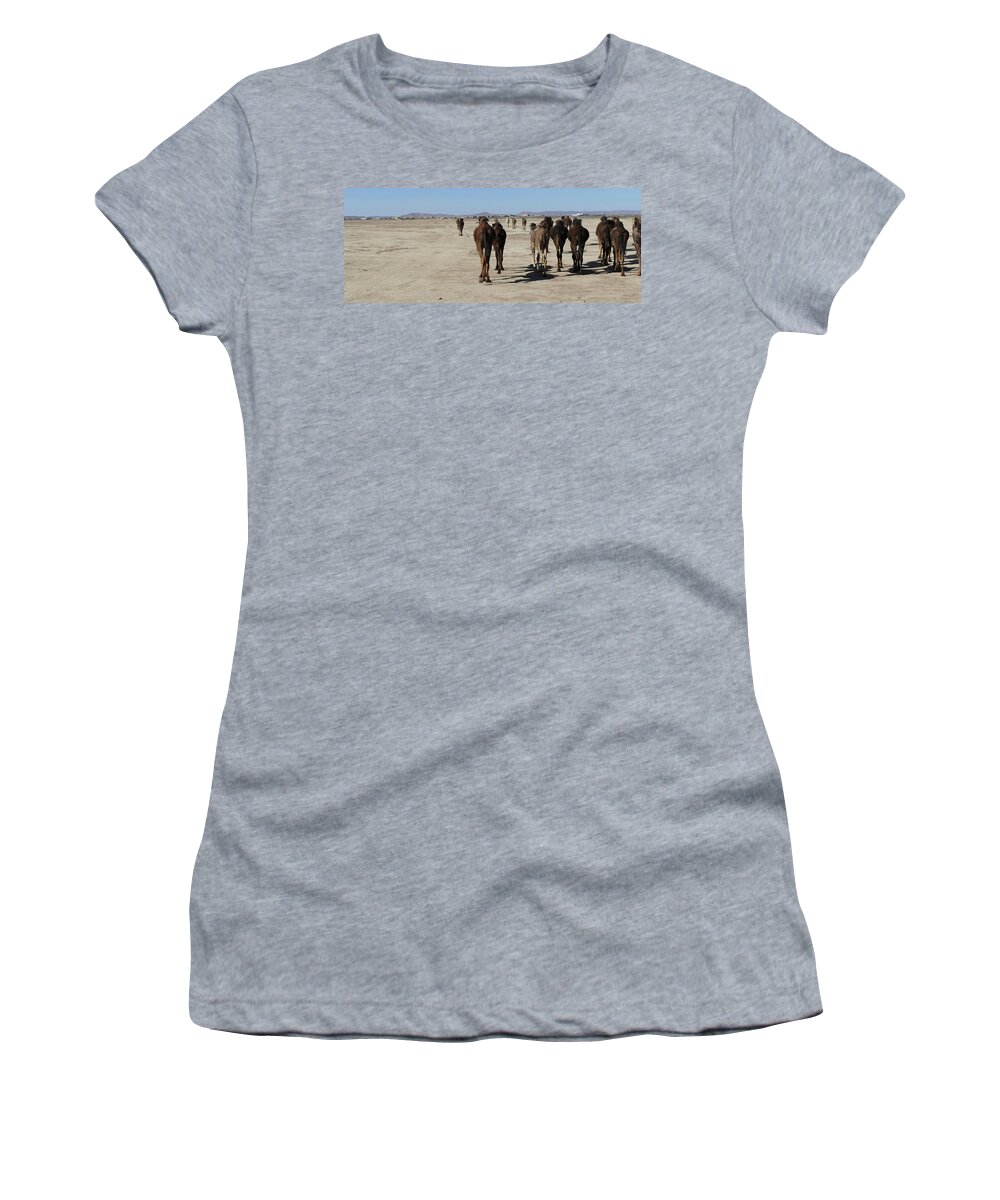 Morocco Women's T-Shirt featuring the photograph Herd of camels crossing the highway near Rissani by Steve Estvanik