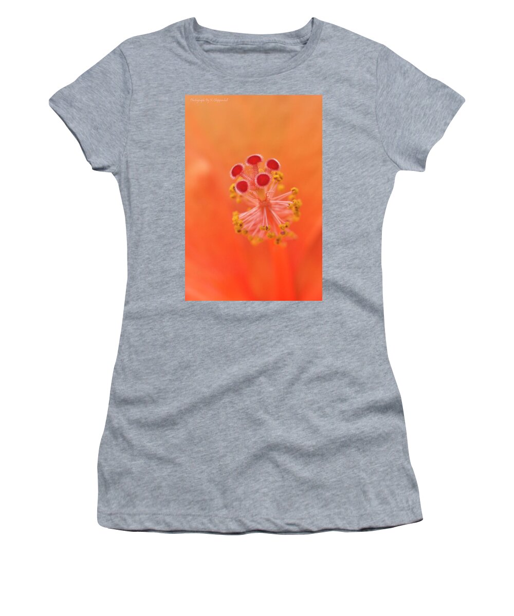 Hibiscus Beauty Women's T-Shirt featuring the digital art Hibiscus beauty 222 by Kevin Chippindall