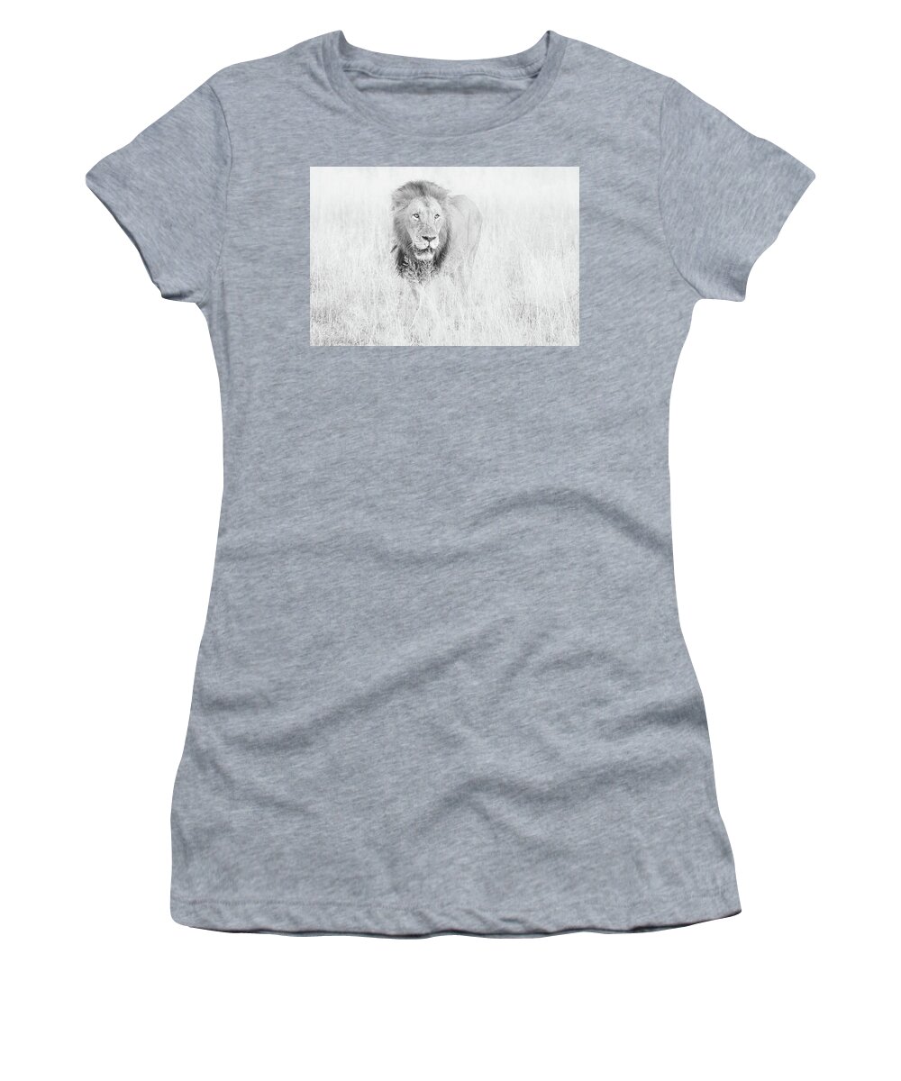 Lion Women's T-Shirt featuring the photograph High key Lion in Grassland by Mark Hunter
