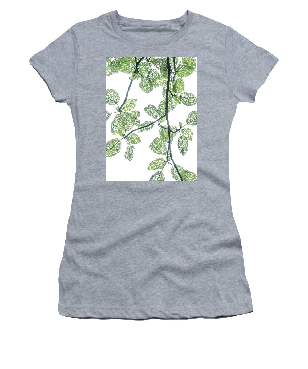 Holey Women's T-Shirt featuring the photograph Holey leaves by Jean Booth