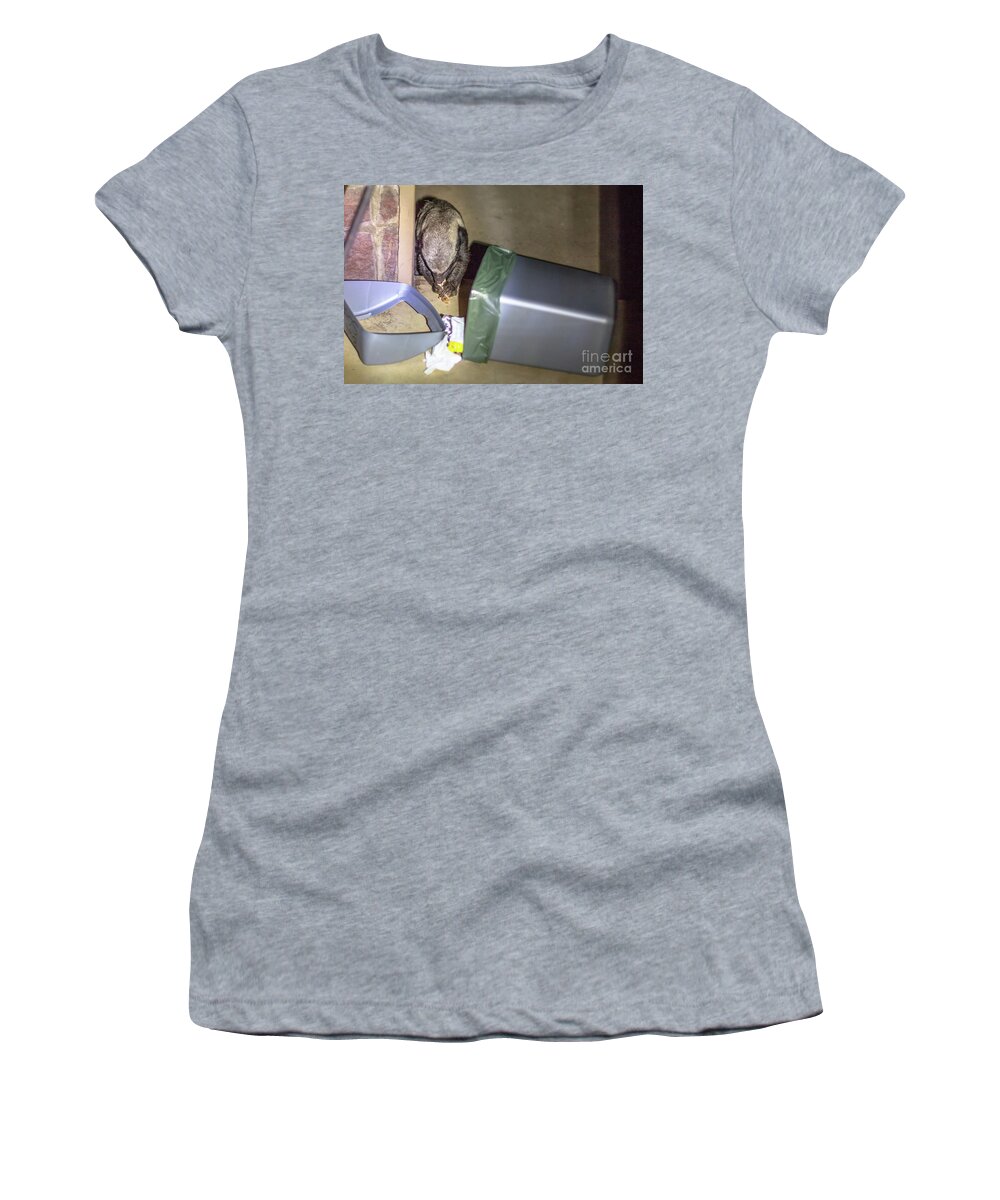 Honey Badger Women's T-Shirt featuring the photograph Honey badger of South Africa by Benny Marty