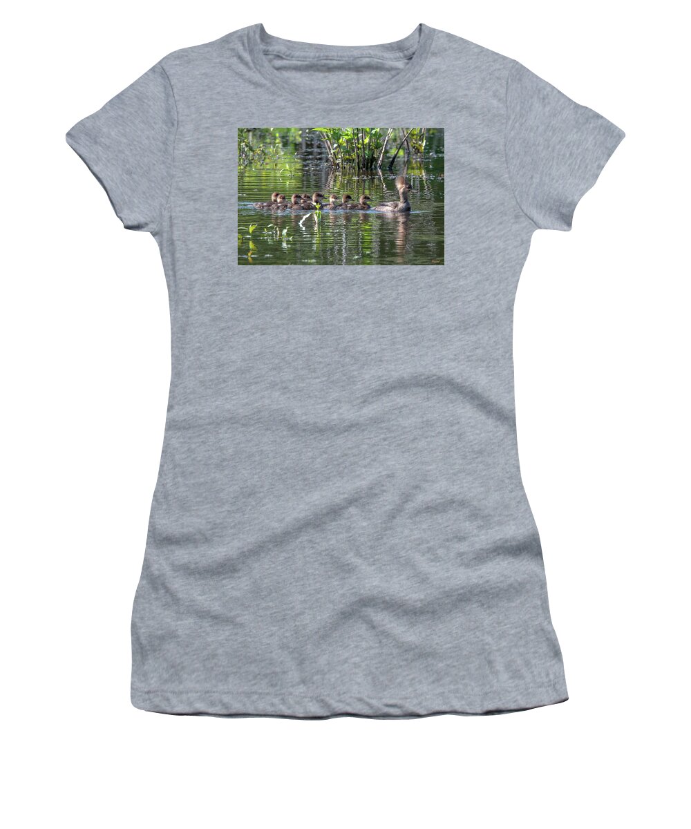 Nature Women's T-Shirt featuring the photograph Hooded Merganser and Her Ducklings DWF0200 by Gerry Gantt