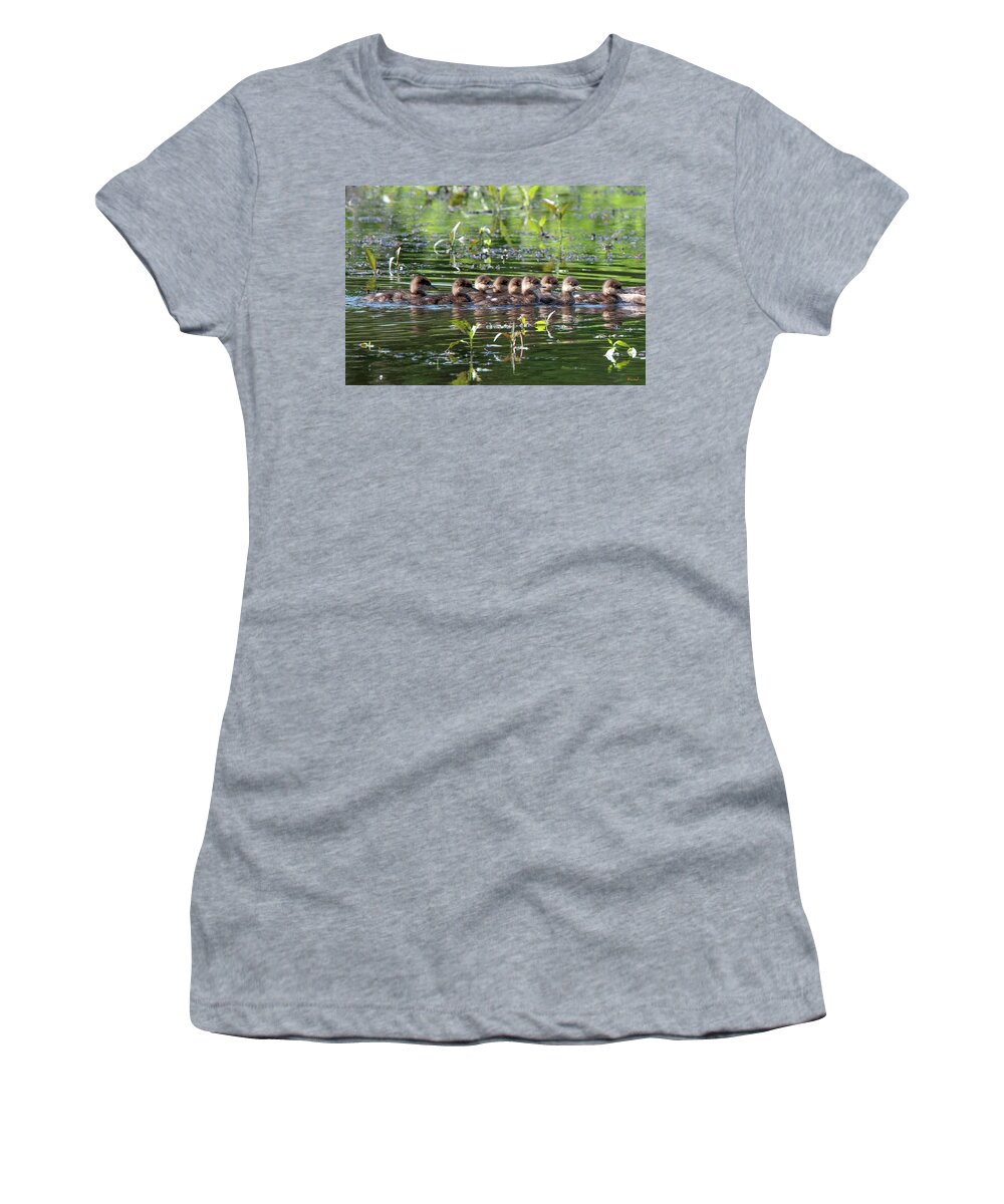 Nature Women's T-Shirt featuring the photograph Hooded Merganser Ducklings DWF0203 by Gerry Gantt