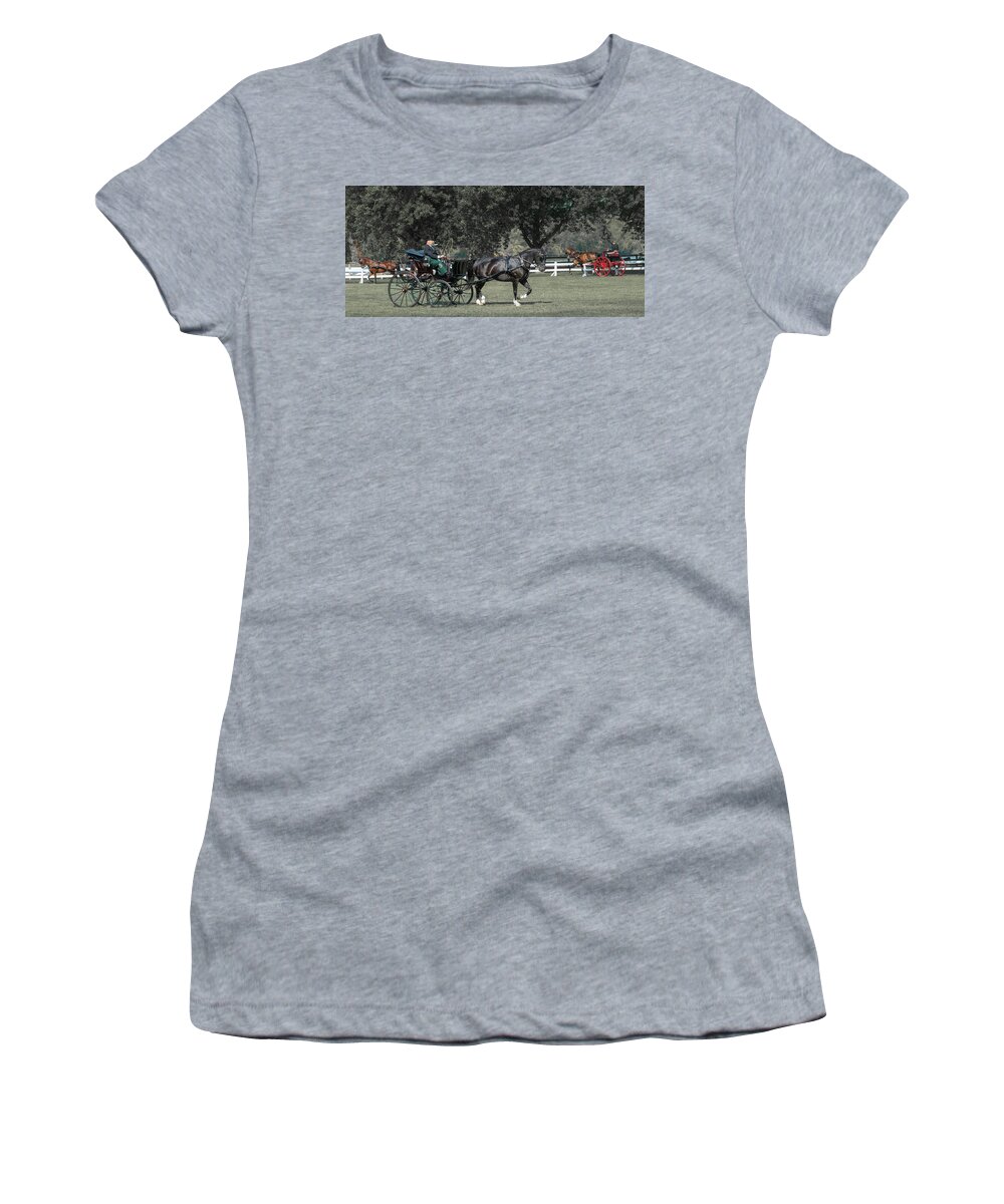 Horse Women's T-Shirt featuring the photograph Horse 34 by Phil S Addis