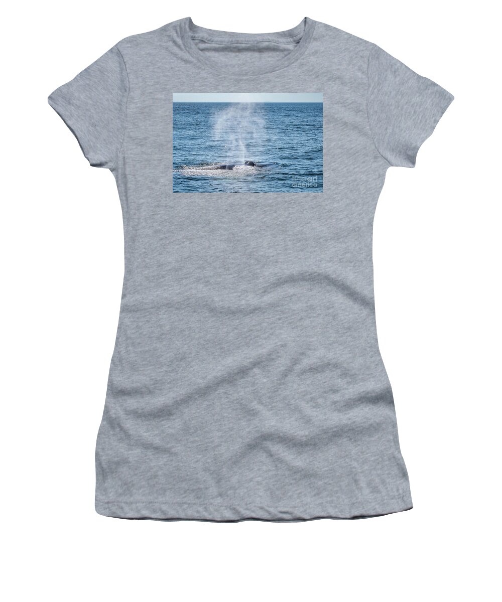 Whale Women's T-Shirt featuring the photograph Humpback Whale Blow 1 by Lorraine Cosgrove