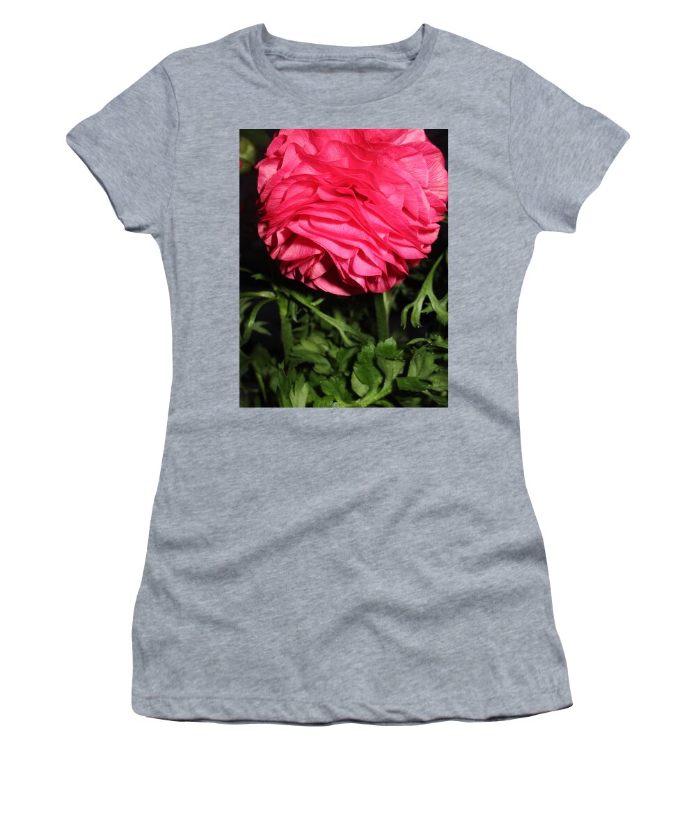 Ranunculus Women's T-Shirt featuring the photograph I Bow by Rosita Larsson