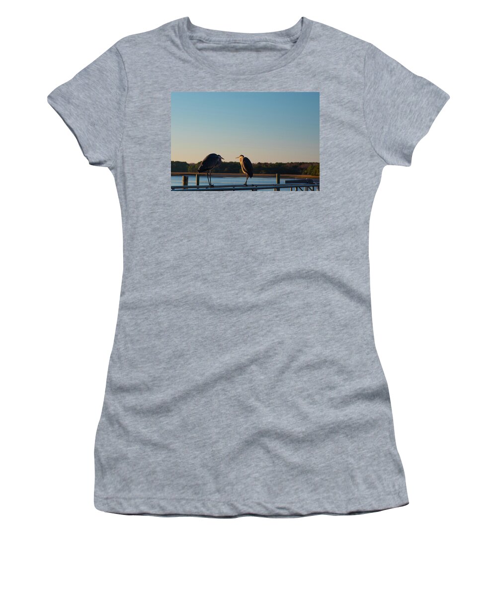 Birds Women's T-Shirt featuring the photograph I Think He Tweets Too Much by Dennis Schmidt