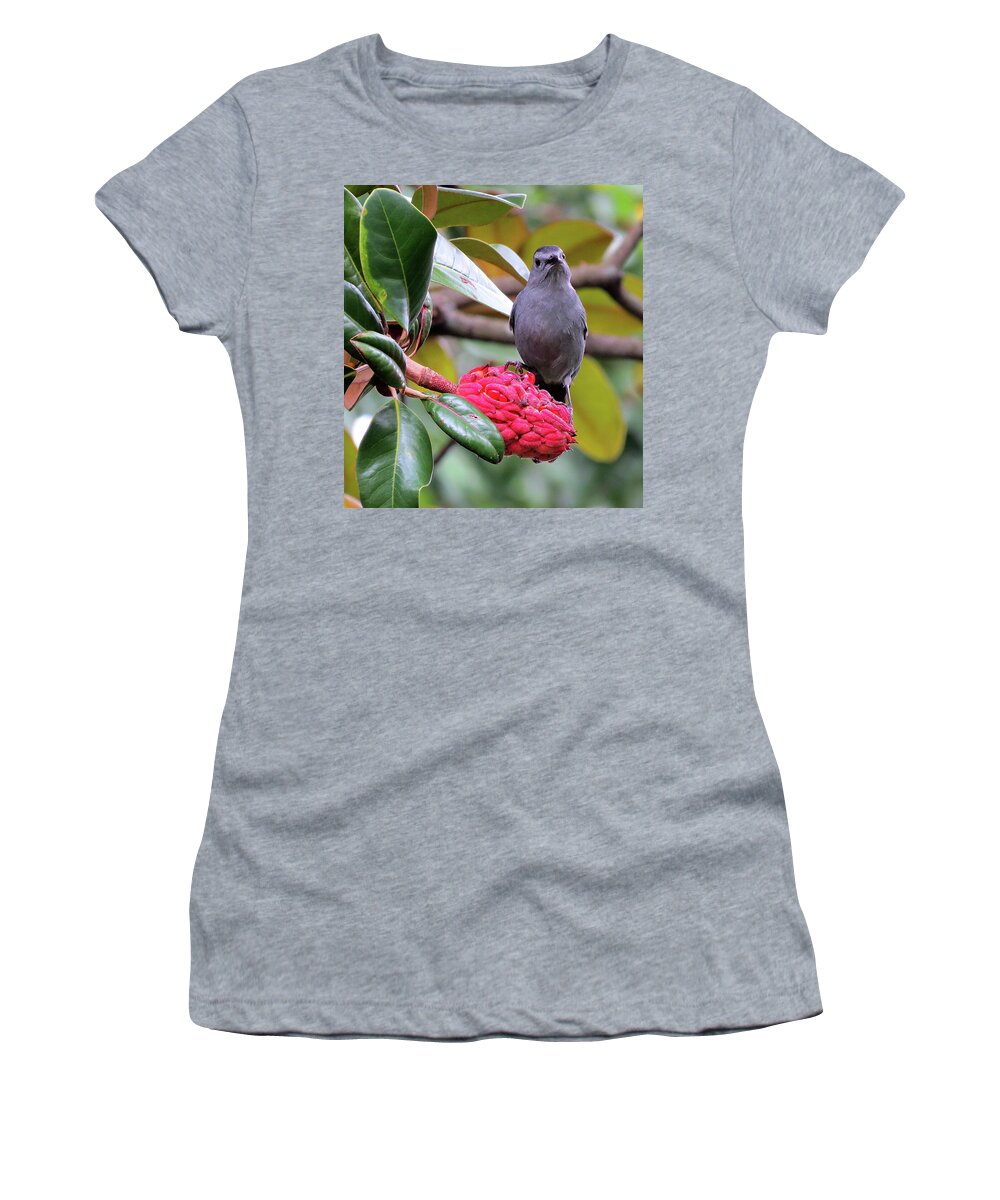Gray Catbird Women's T-Shirt featuring the photograph Indignant Gray Catbird Having Breakfast by Linda Stern