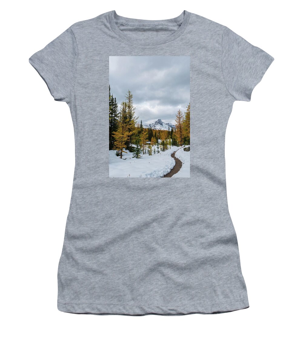 Outdoor; Peaks; Reflection; Larches; Snow; Mountains; Wiwaxy Peaks; Yoho National Park; Rocky Mountains; British Columbia; Canada Women's T-Shirt featuring the digital art Larches in West Opabin Trail by Michael Lee